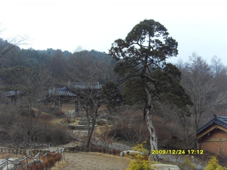 아침고요 023.jpg