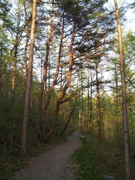 20120506_181428.jpg