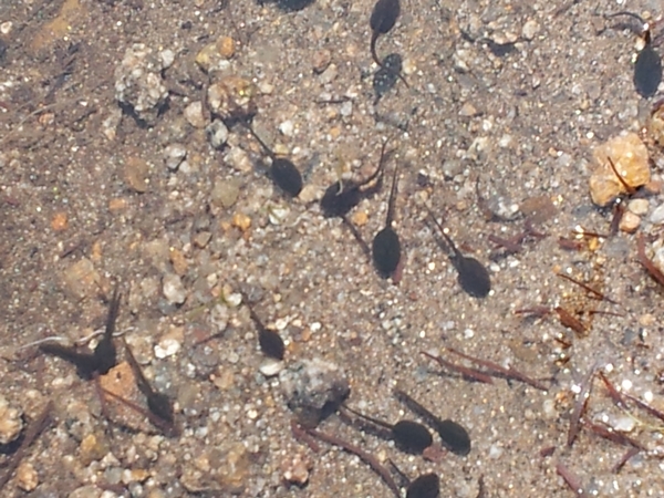 20120507_095530.jpg