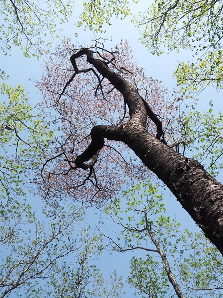 20120507_102753.jpg