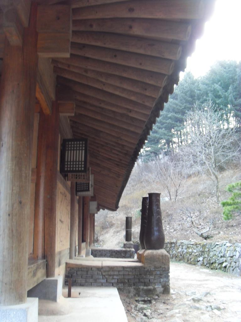 SDC12388.JPG
