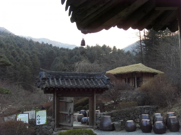 SDC12391.JPG