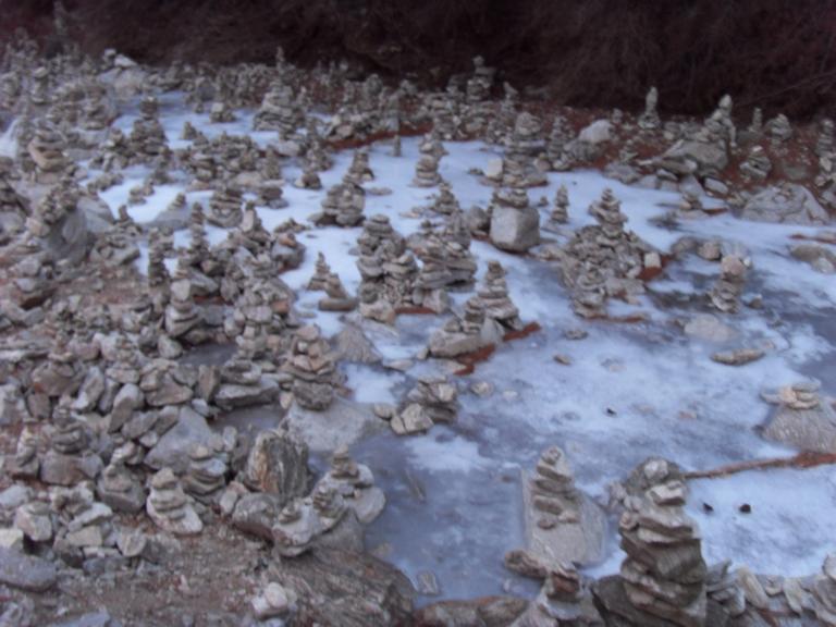 SDC12411.JPG