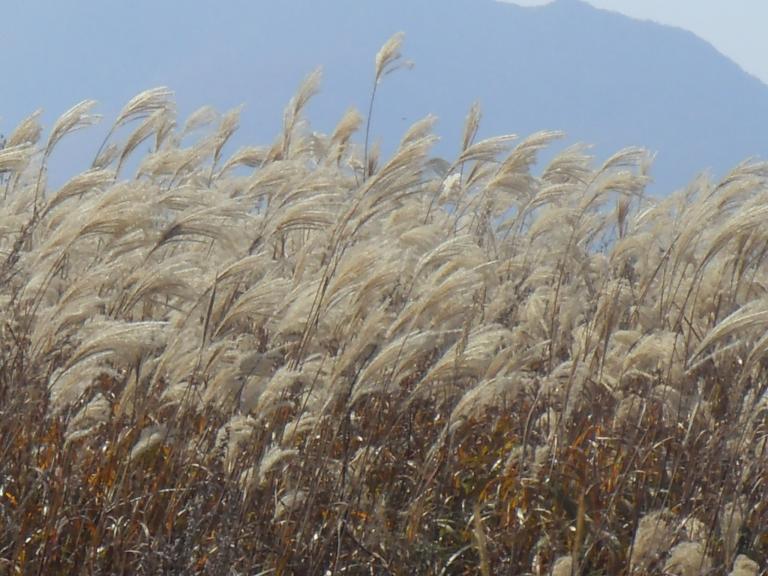 민둥산 102.jpg