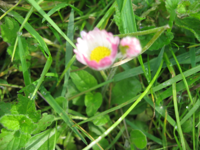 IMG_6160.JPG