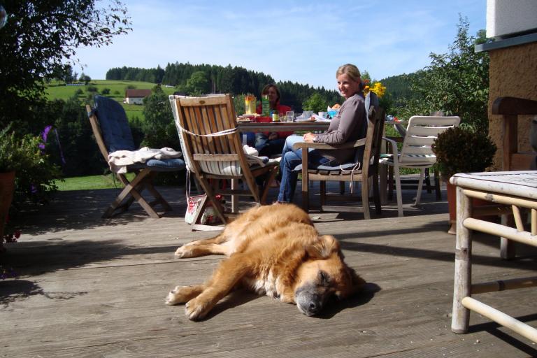 bei Judith (7).JPG