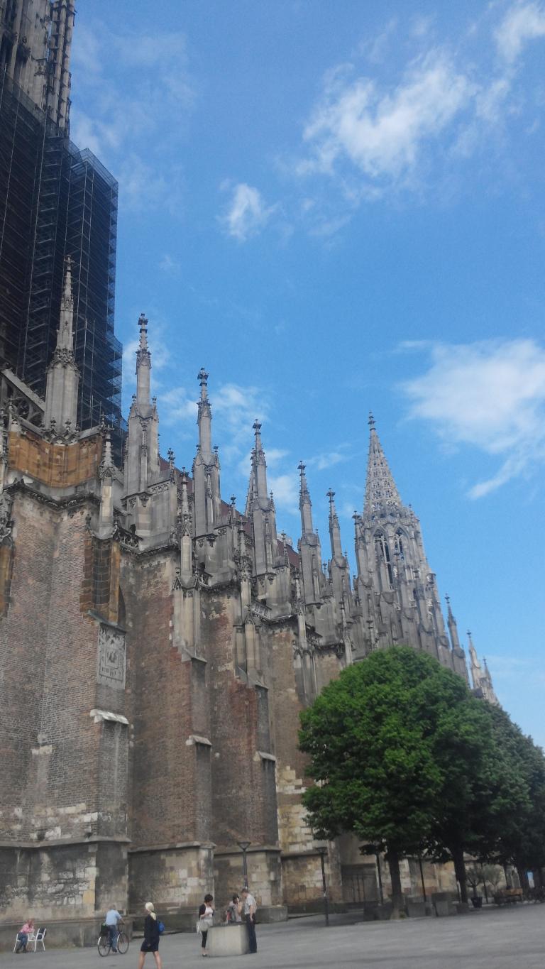 20140603_152756.jpg