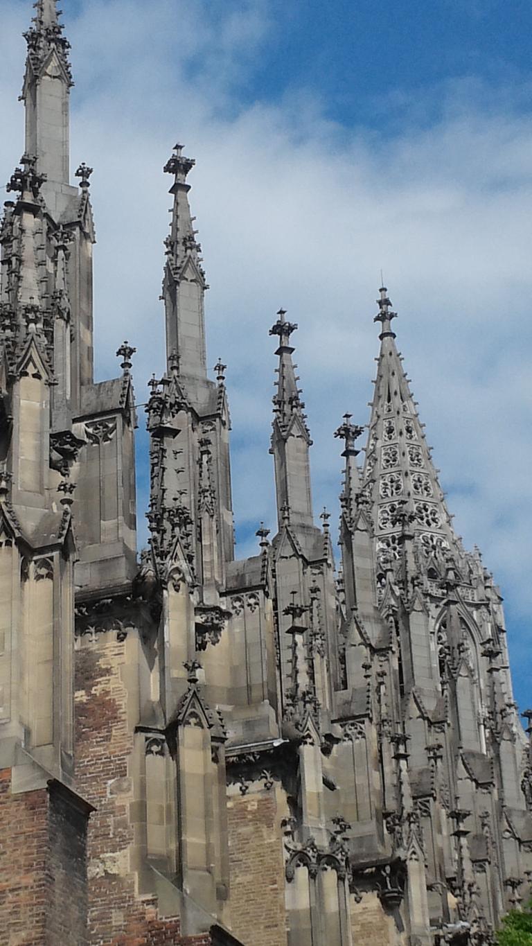20140603_155059.jpg