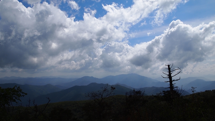 P1010387.JPG
