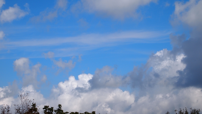 P1010416.JPG