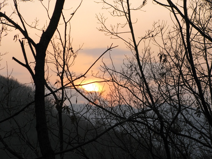 IMG_6124.JPG