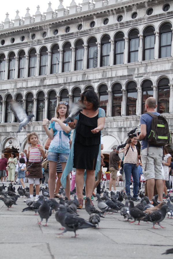 piazza san marco 15.JPG