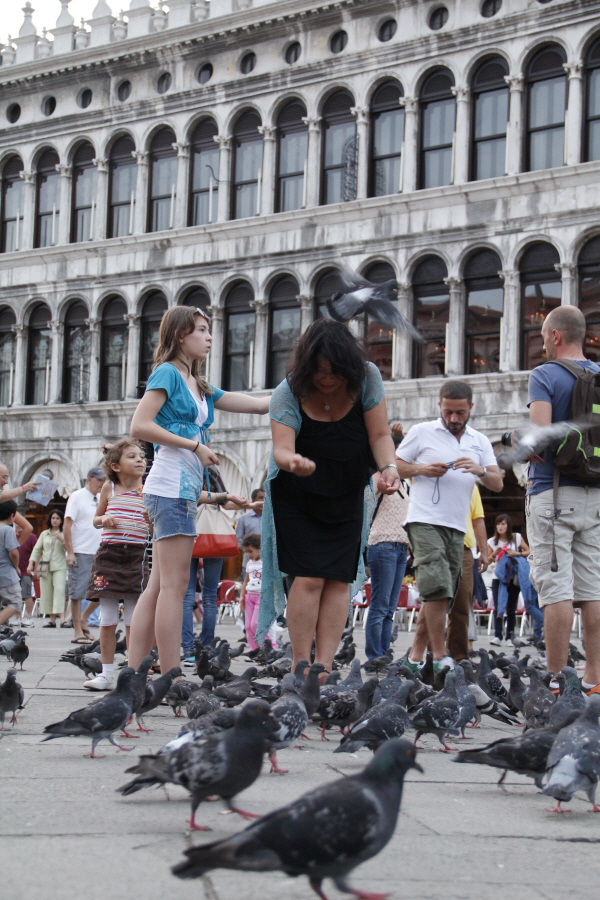 piazza san marco 16.JPG