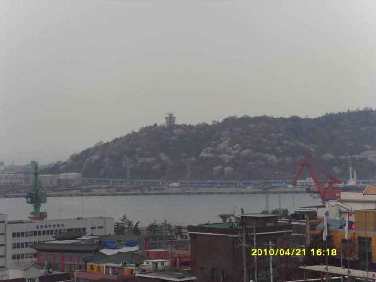 SDC11601.JPG