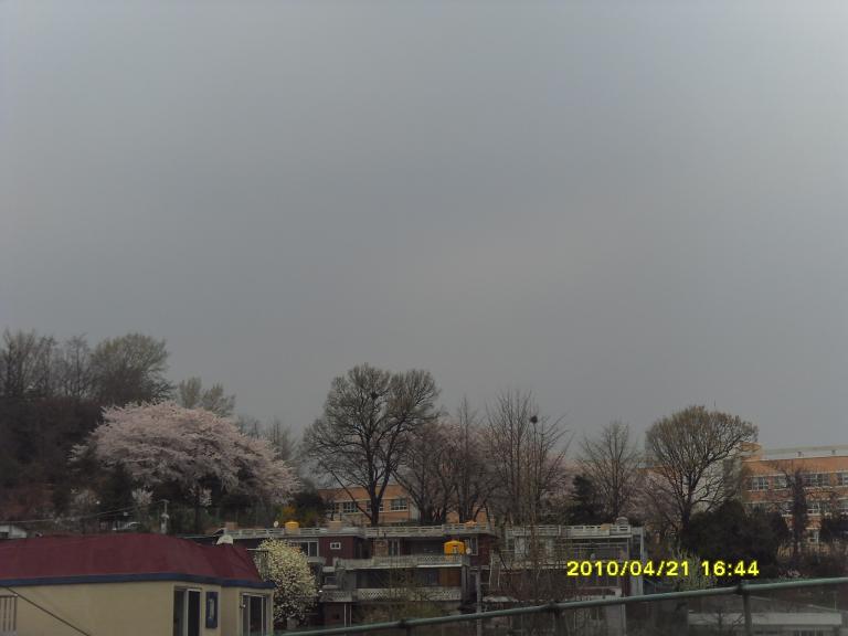 SDC11632.JPG