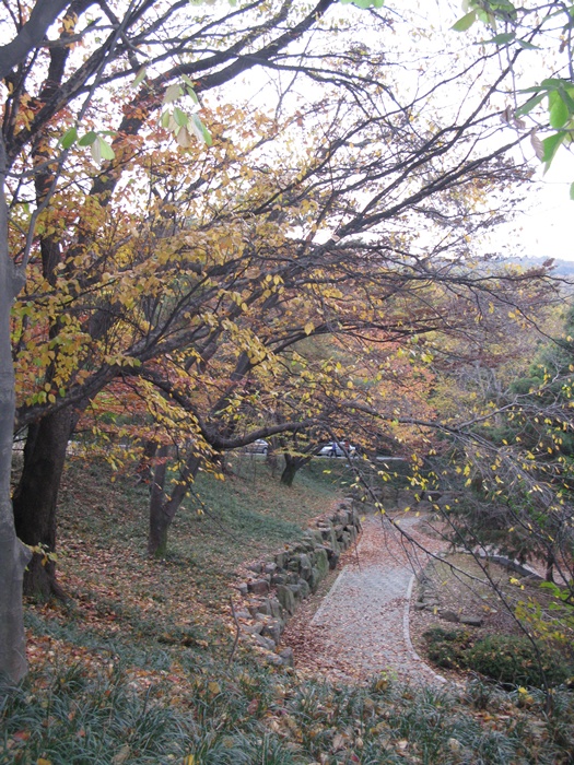IMG_4073.JPG