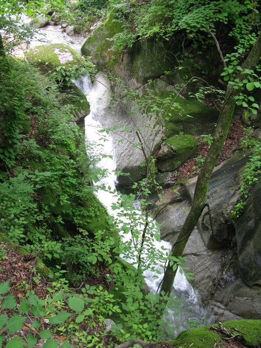 IMG_8818.JPG