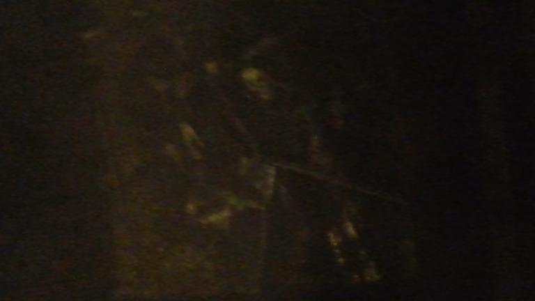 20140603_205946.jpg