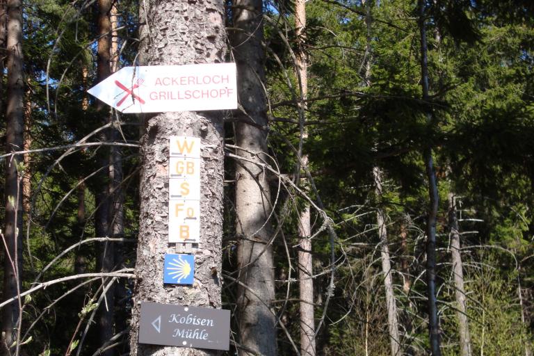 april 2010 105_copy.jpg