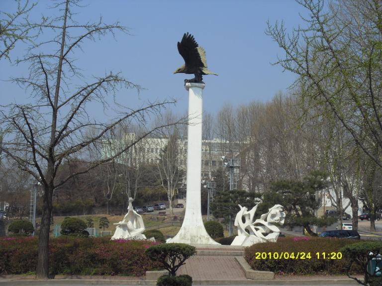 안산번개 002.jpg