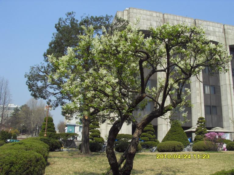 안산번개 008.jpg