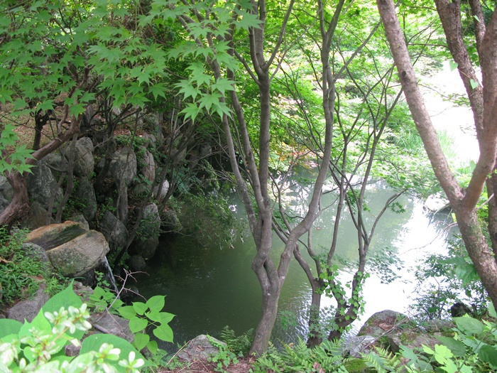 IMG_8776.JPG