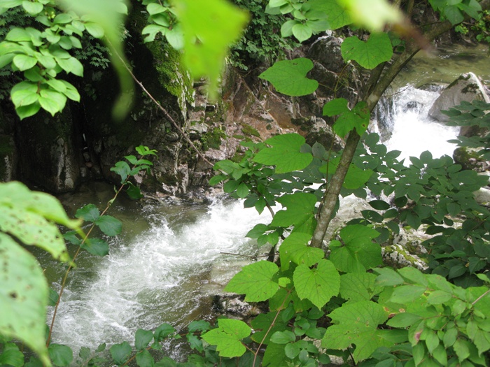IMG_8799.JPG