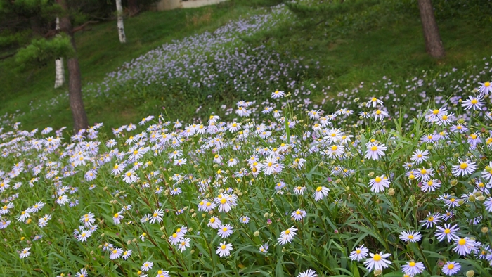 P1010376.JPG