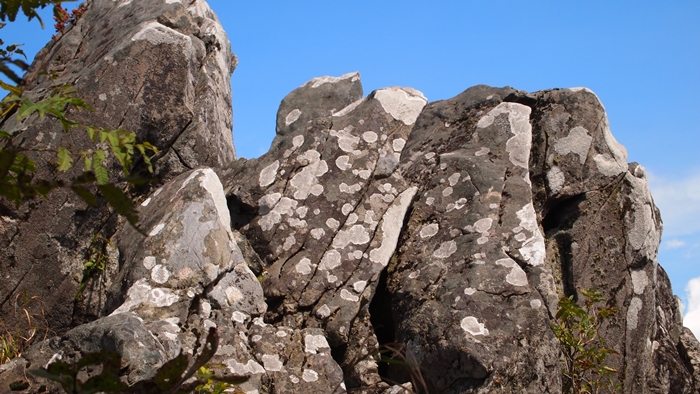 P1010415.JPG