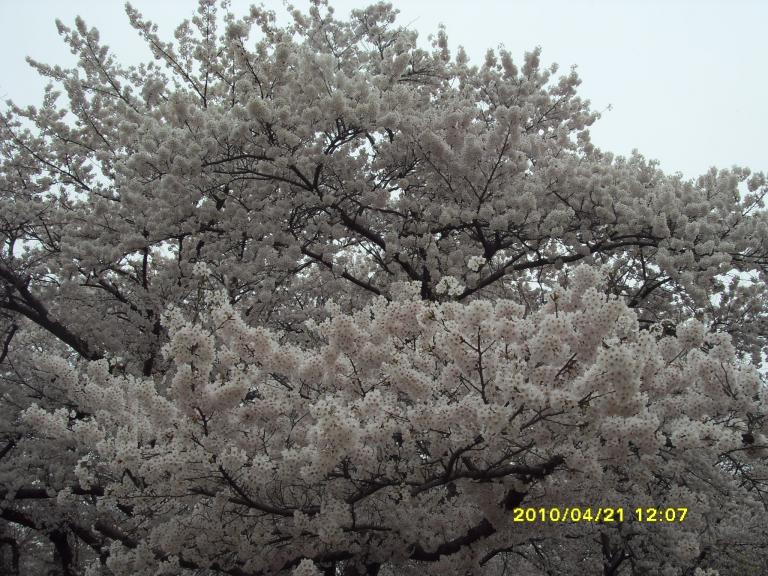 사본 - SDC11482.JPG