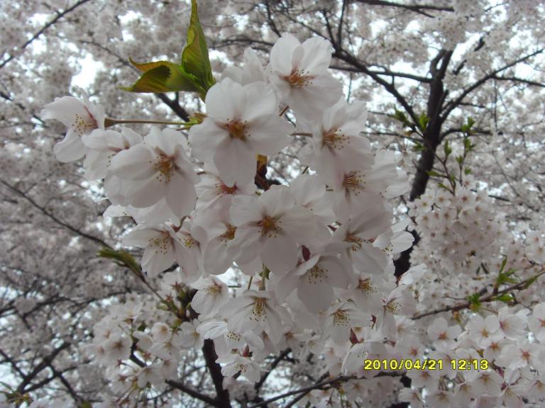 사본 - SDC11501.JPG