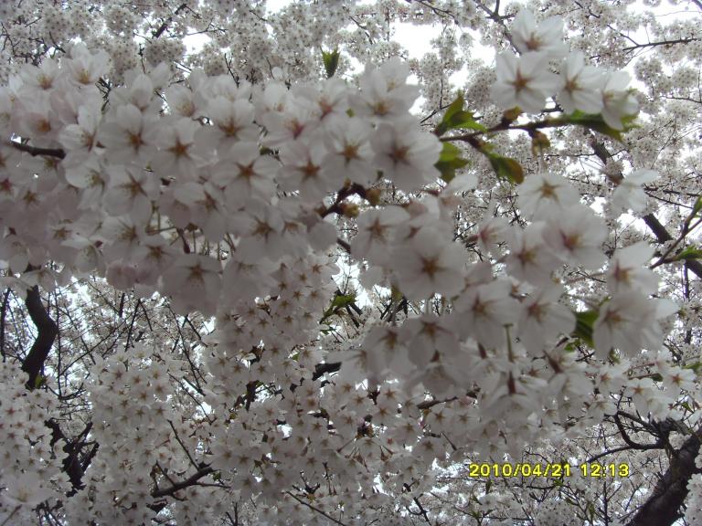 사본 - SDC11502.JPG