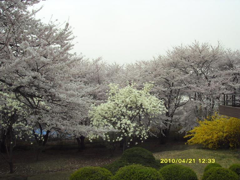 사본 - SDC11541.JPG