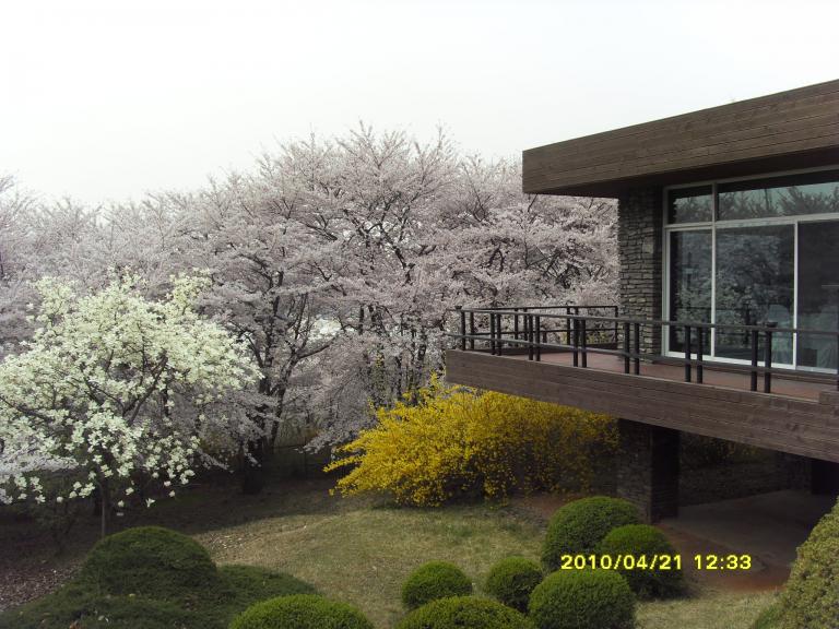 사본 - SDC11543.JPG