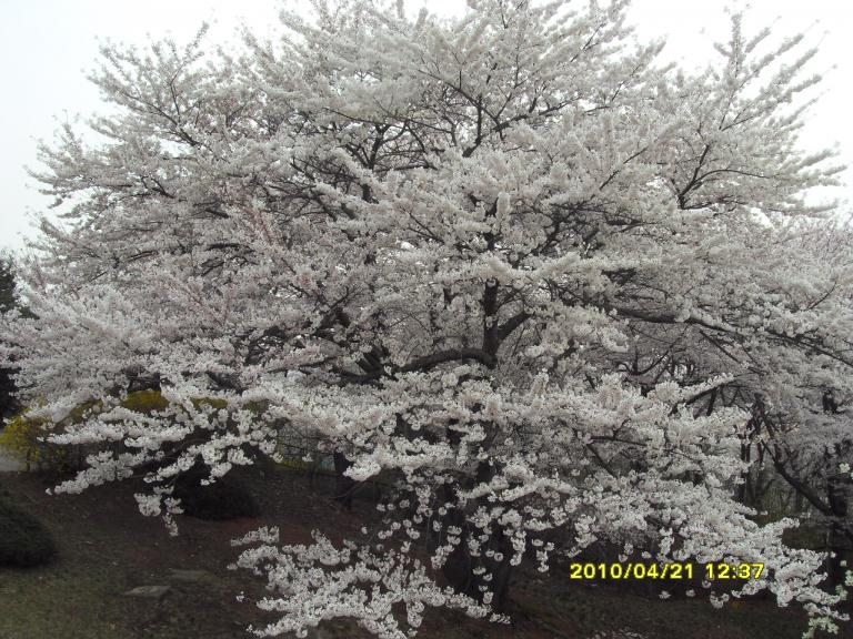 사본 - SDC11545.JPG
