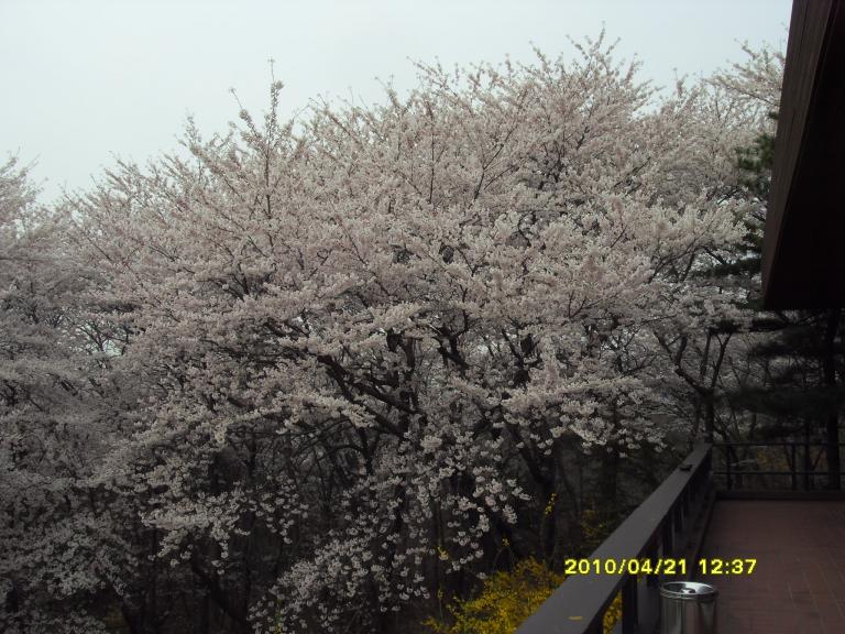 사본 - SDC11547.JPG