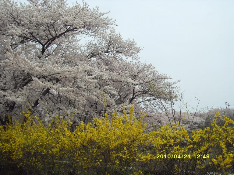 SDC11559.JPG