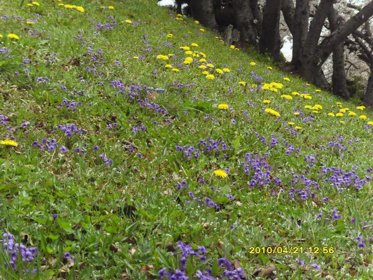SDC11579.JPG