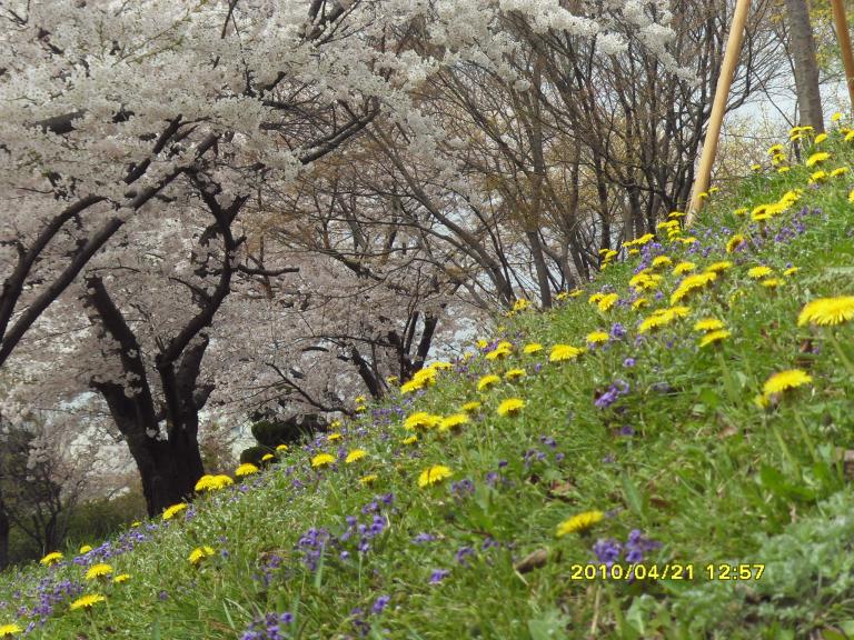 SDC11588.JPG