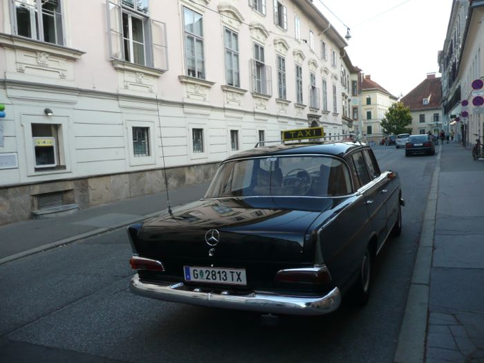 old timer.jpg