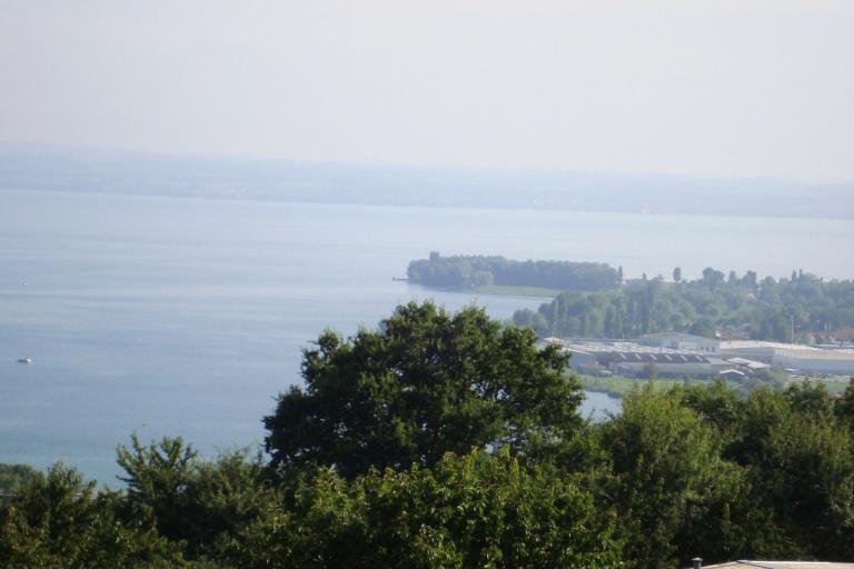 7.August 2010 021_copy.jpg