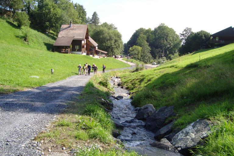 7.August 2010 029_copy.jpg