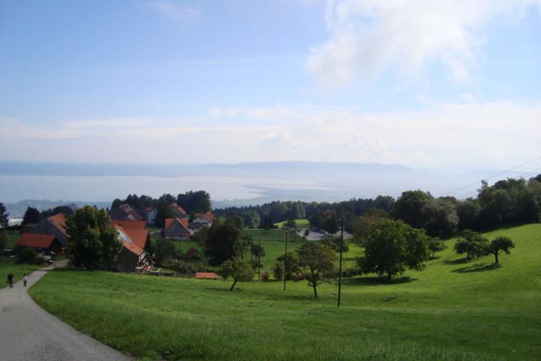 7.August 2010 034_copy.jpg