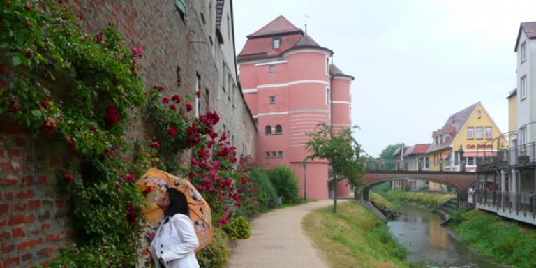 donauwoerth 1.JPG
