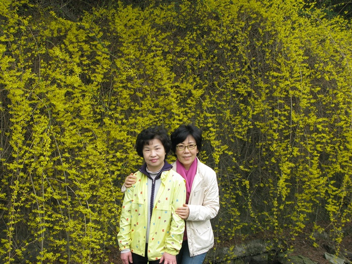 IMG_7389.JPG