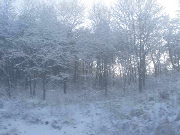 IMG_6721.JPG
