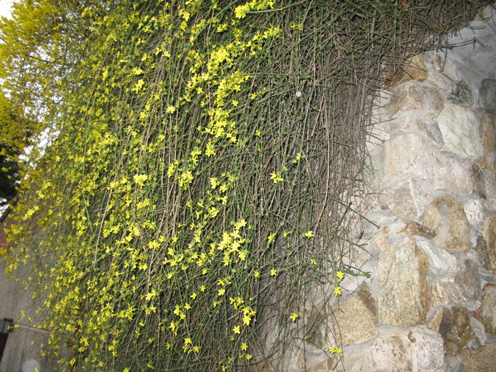 IMG_7235.JPG