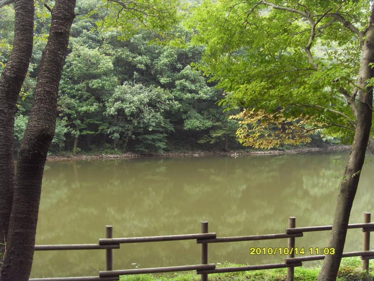 지리산둘레길 146.jpg
