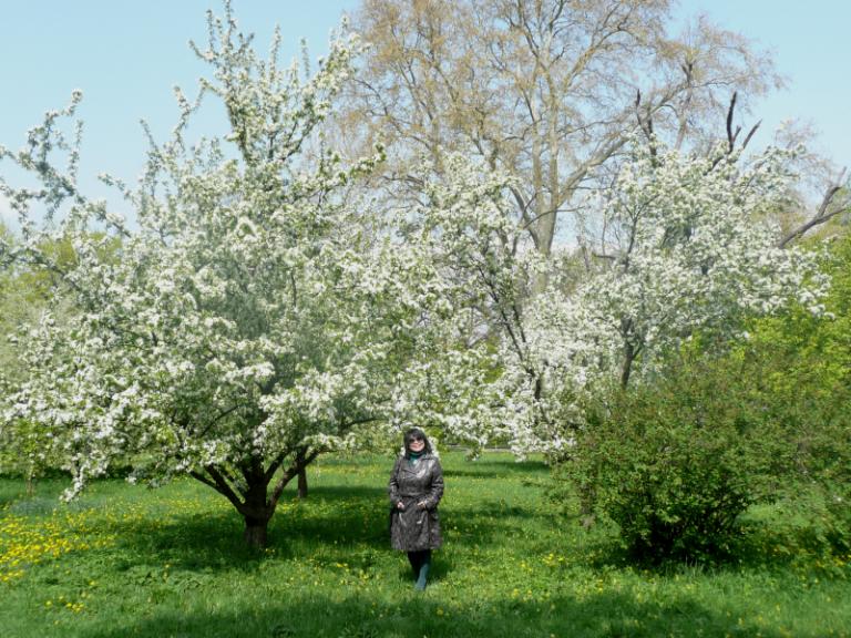 spring 1_1.JPG