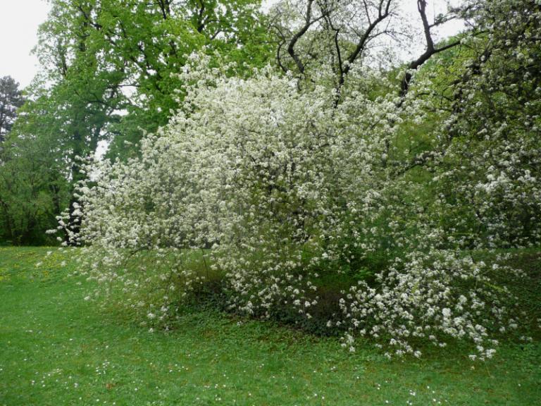 spring 4.JPG